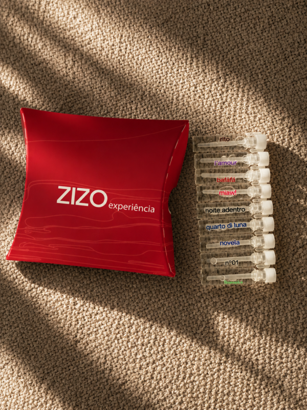 ZIZO experiência